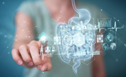 Image: Adobe A digital illustration of a digestive system with a person standing behind it